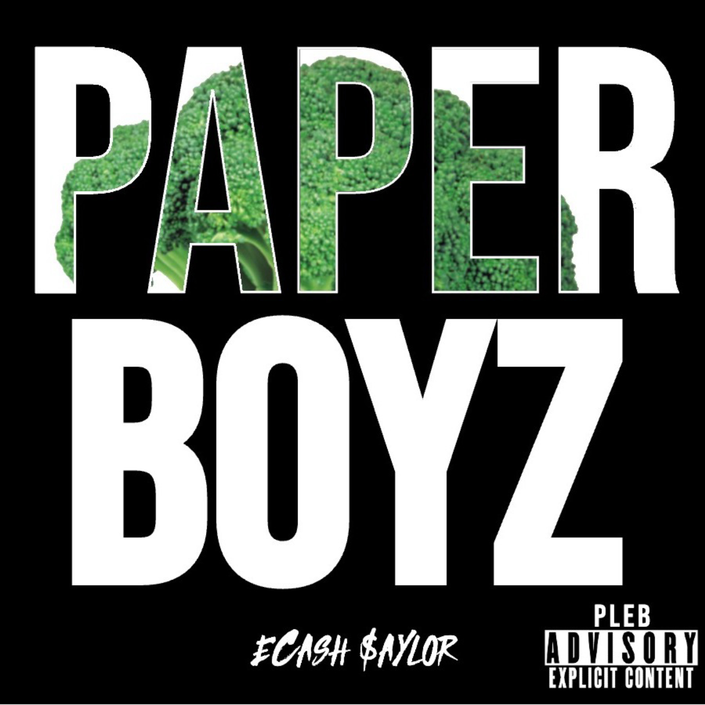 Paper Boyz cover